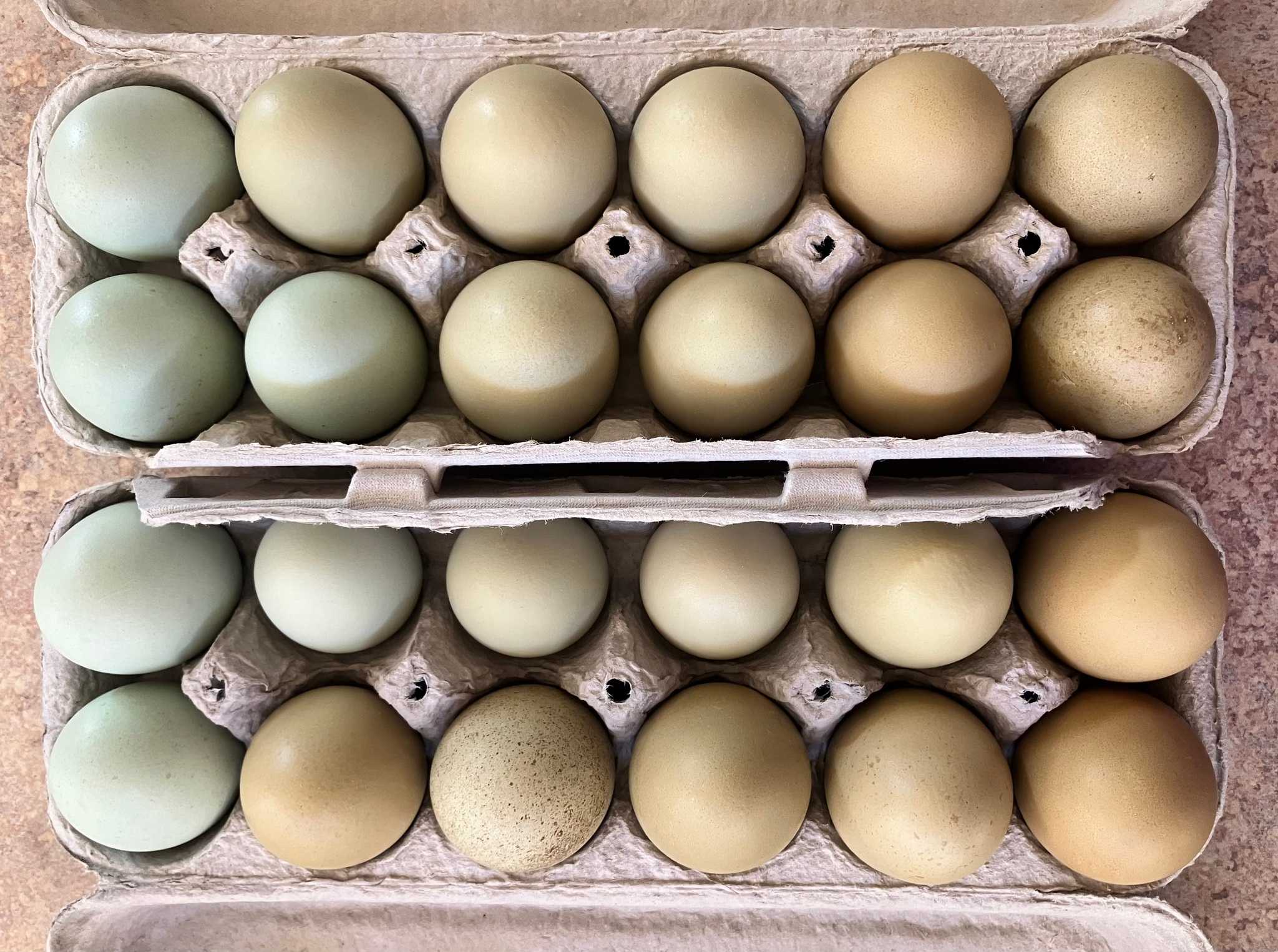 Cartons of fresh free-range eggs in different colors